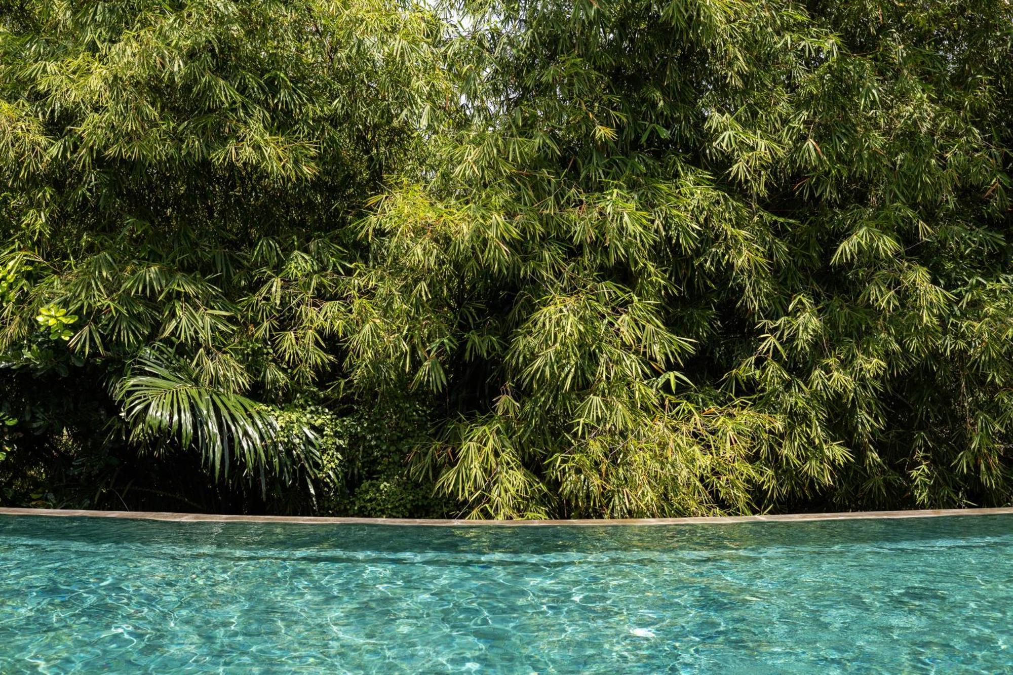 Theanna Villa And Spa Canggu エクステリア 写真